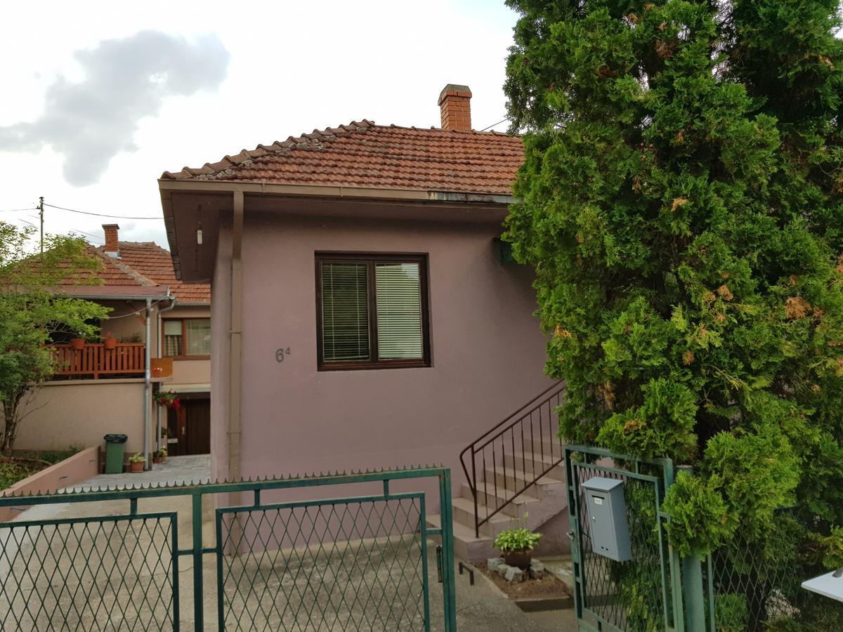 Apartments Cvetkovic Relax Нишка Баня Екстериор снимка
