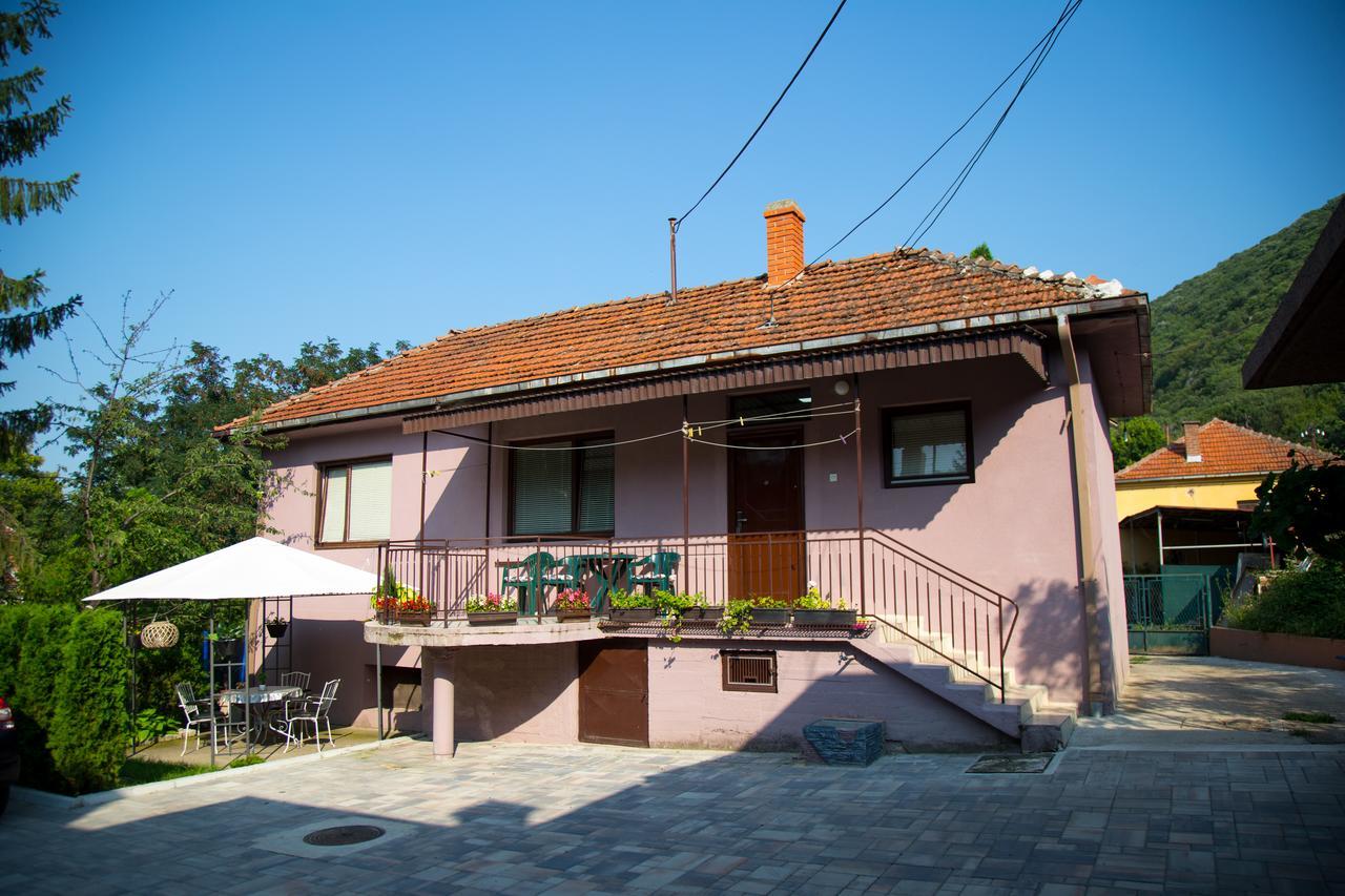 Apartments Cvetkovic Relax Нишка Баня Екстериор снимка